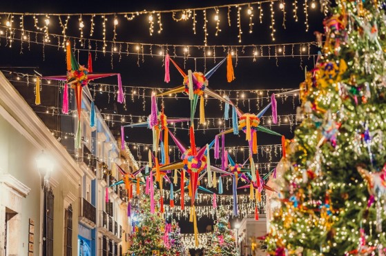 Festive Cheer: Christmas Trees for Sale